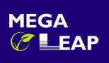 Shenzhen Megaleap Electronic Technology Co., Limited