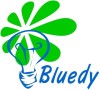 Bluedy Lighting Co., Ltd.