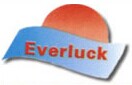 Everluck Optoelectronic Technology(Shenzhen)Co., Ltd
