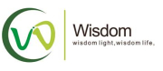 Wisdom Optoelectronics Technology Co., Limited