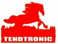 Tendtronic Corporation Limited