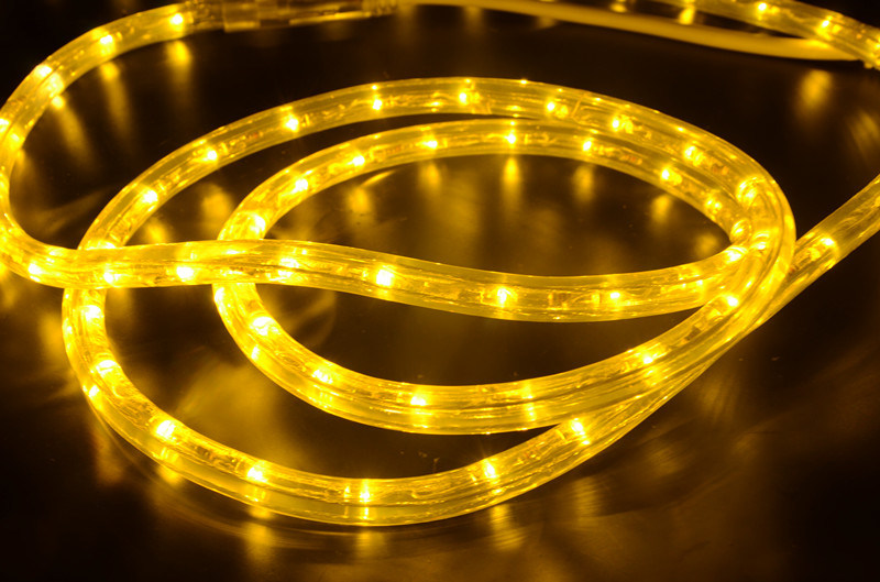 Waterproof Transparent Hv LED Strip with Cheap Price