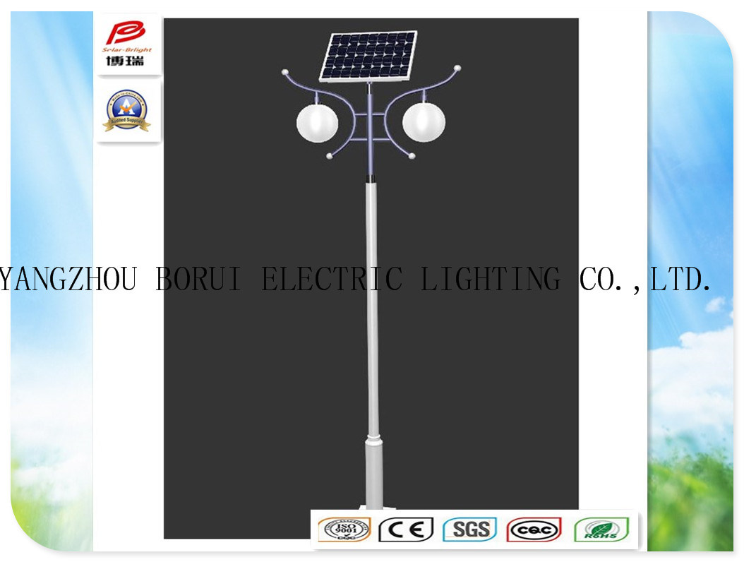 Brsgl029 Efficiency and 12V Working Voltage LED Garden Use Solar Light