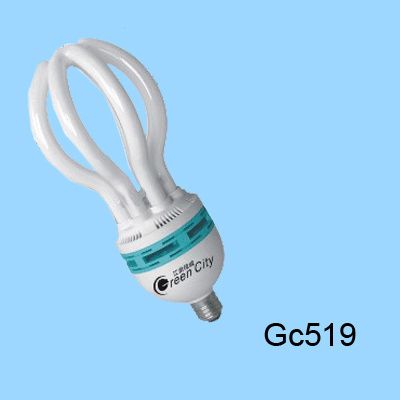 Energy Saving Lamp (Gc519)