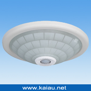 LED Ceiling Light (KA-C-302G)