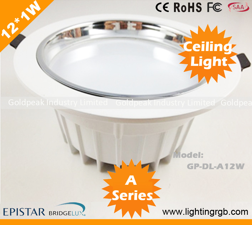 High Power 12W LED Ceiling Light/ LED Ceiling Lamp/ LED Down Light