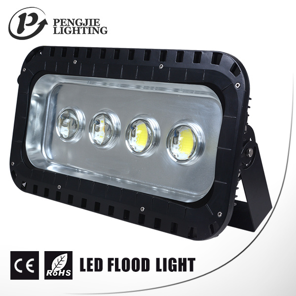 Outdoor LED Flood Lights for 50, 000 Hrs with CE
