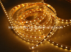 CE EMC LVD RoHS Two Years Warranty, 3528 / 5050 Injection Moulding Half-Moon LED Strip Light