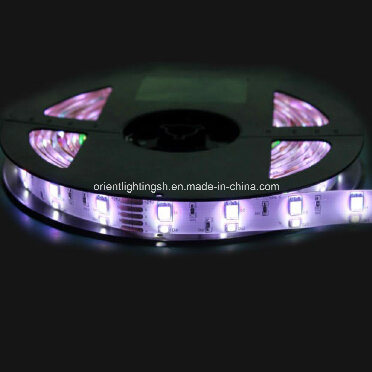 RGBW Flexible Strips 5050+2835 120 LEDs/M LED Light