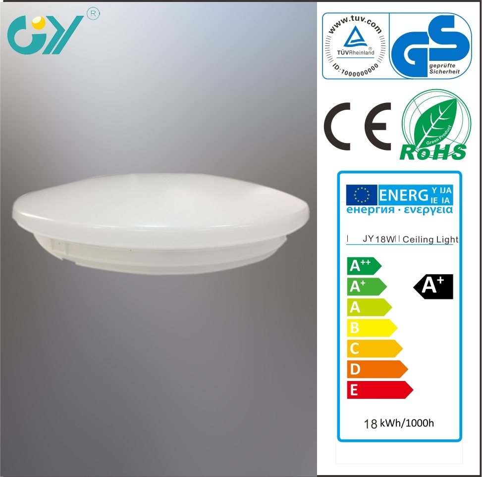 New Product 18W 1100lm SMD 300mm LED Ceiling Light