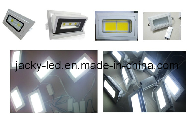 Epistar COB LED Chip 30W LED Down Light (YN-down-30W)