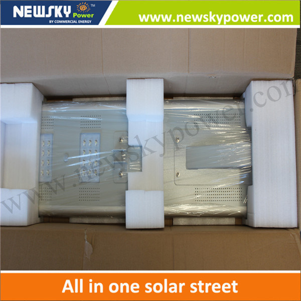 Made in China 50W Outdoor LED Solar Lights