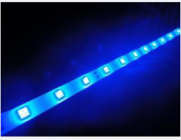 2014hot Sale Factoty Wholesale Flexible LED Strip 5050SMD Blue Light SA-SL-5050-60-Bl