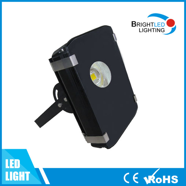 Competitive Price 80W Outdoor IP65 LED Flood Light