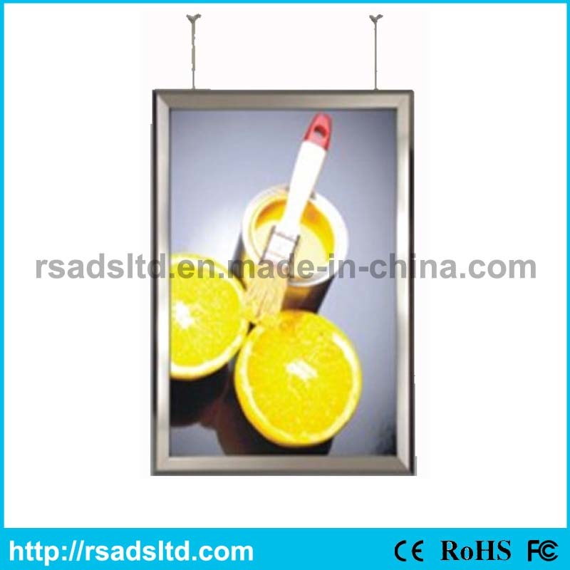 Doubled Sides LED Advertising Display Light Box