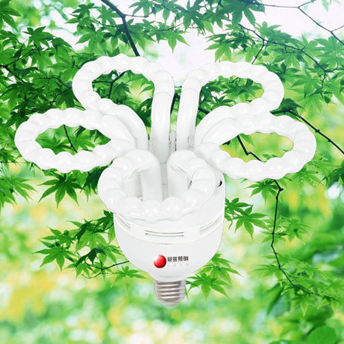 Plum Blossom Energy Saving Lamp (CFL Plum Blossom 01)