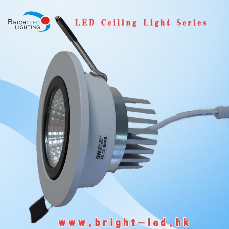 High Quality 5W/10W LED Ceiling Light