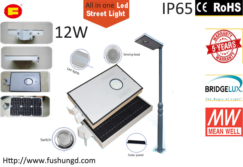 12W Integrated Solar LED Street Light with Garden