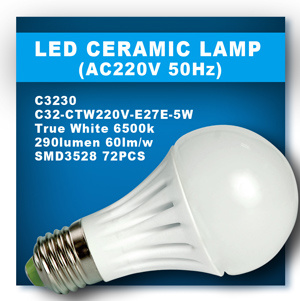 5W LED Light Bulb With CE