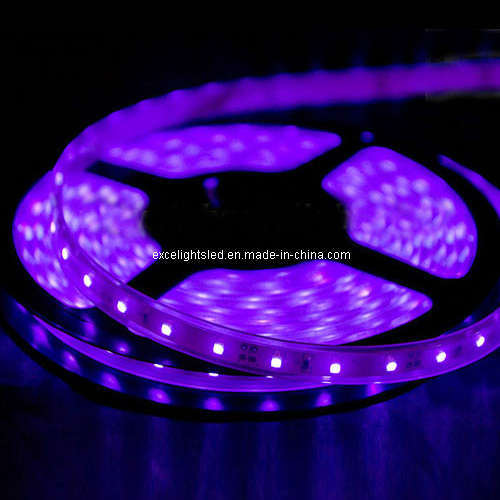 LED Strip Light With Purple 3528 LED Ribbon Light