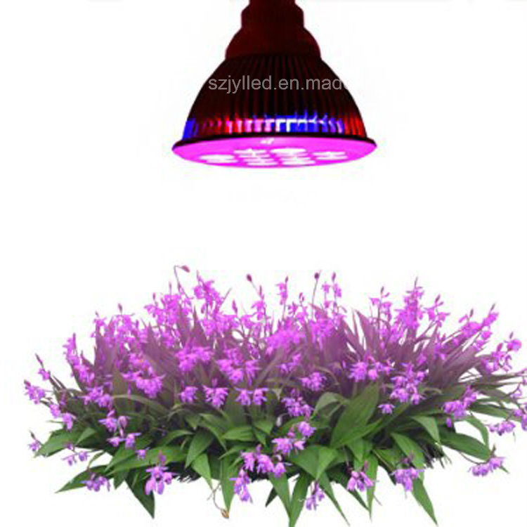 12W LED Plant Grow Light for Hydroponic Garden Greenhouse