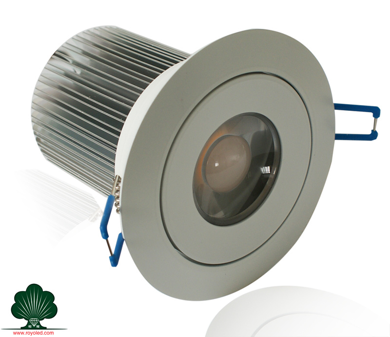 Dimmable 14W LED Down Light (RY-D800-9014)