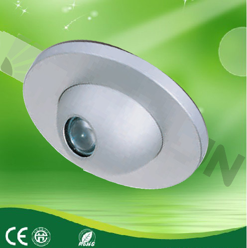 LED Ceiling Light (LDC022)