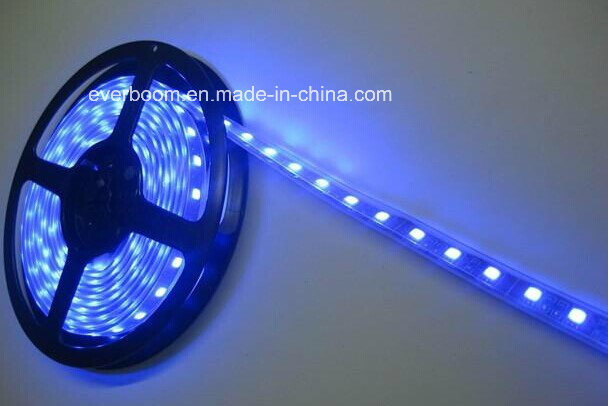 12V SMD3528 60LED Single Color Flexible LED Strip Light for Lighting Decoration (ST3528-12-60-01)