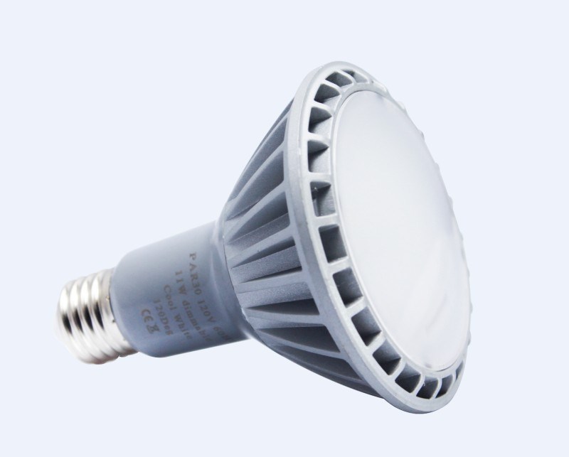 Dimmable LED PAR Bulb IP65 (yc-cpar30W-11D)