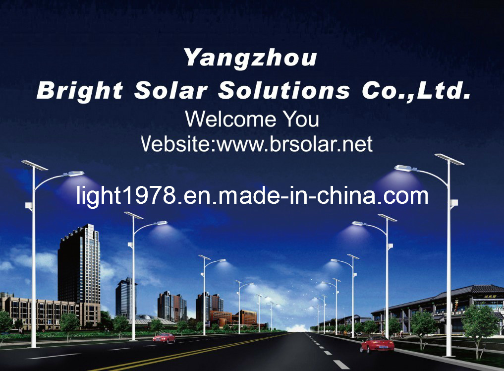 Replace 150W HPS Lamp CE Certified 30W LED Solar Lights