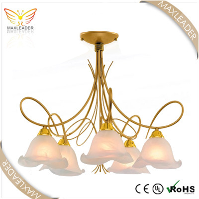 Latest Design Chandelier All Over The Word (MD064)