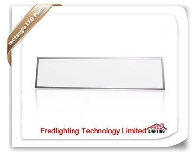 LED Ceiling Light (FD-PL600X1200W2-D)