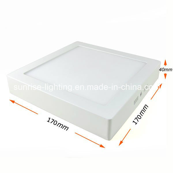 Round Mounted 12W LED Ceiling/Ceiling Lamp/Light