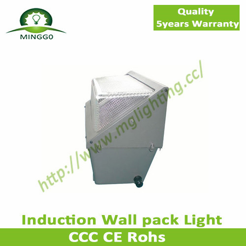 70W~80W Induction Wall Pack Light Waterproof