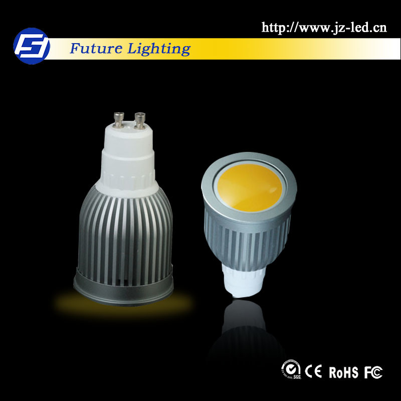 LED Spotlight (FY-SD1001)