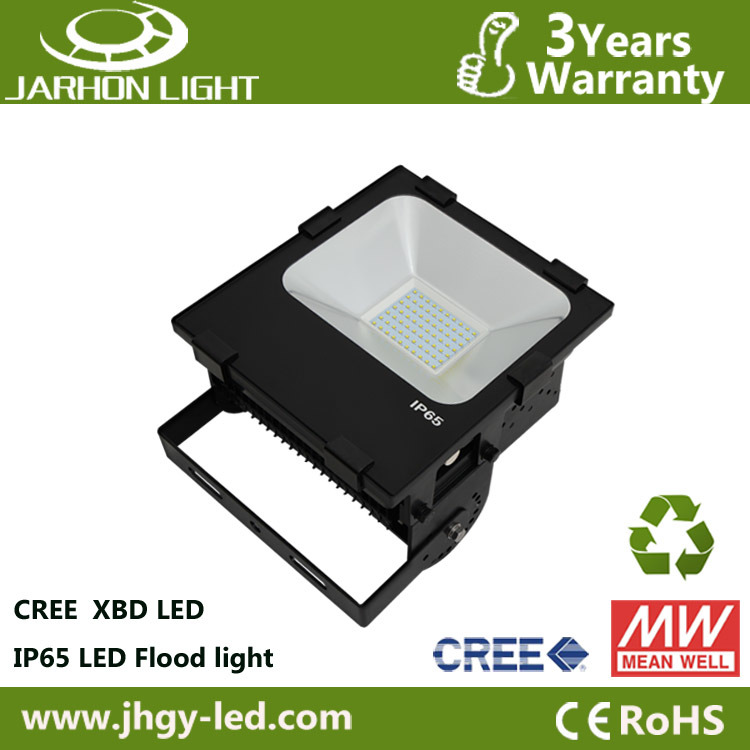 IP65 Waterproof 100W LED Outdoor Light with Aluminum Housing