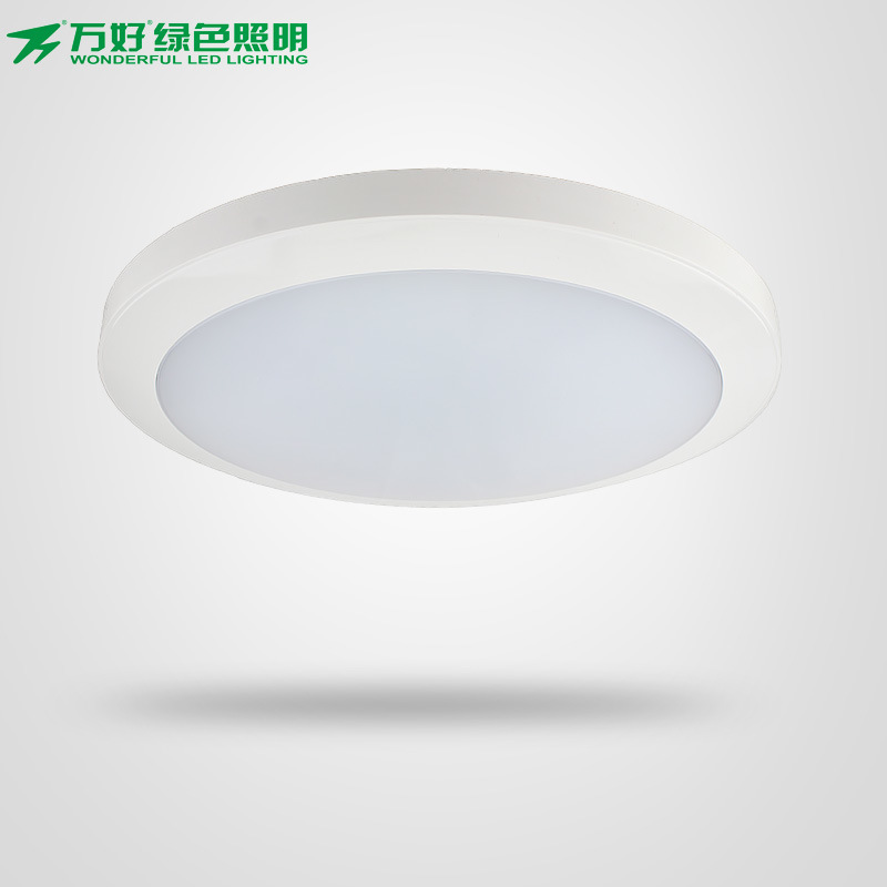 20W Round LED Ceiling Light