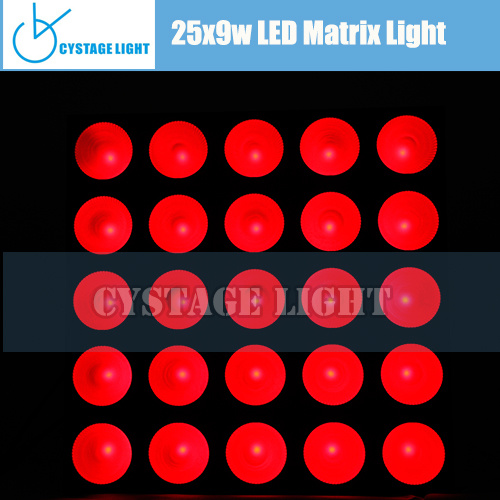 Mini 100-240V LED PAR Light PAR25