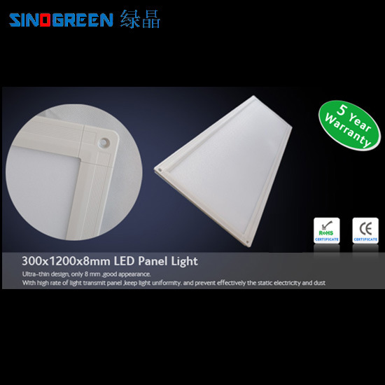 8mm LED Square Panel Light (300*1200*8mm)