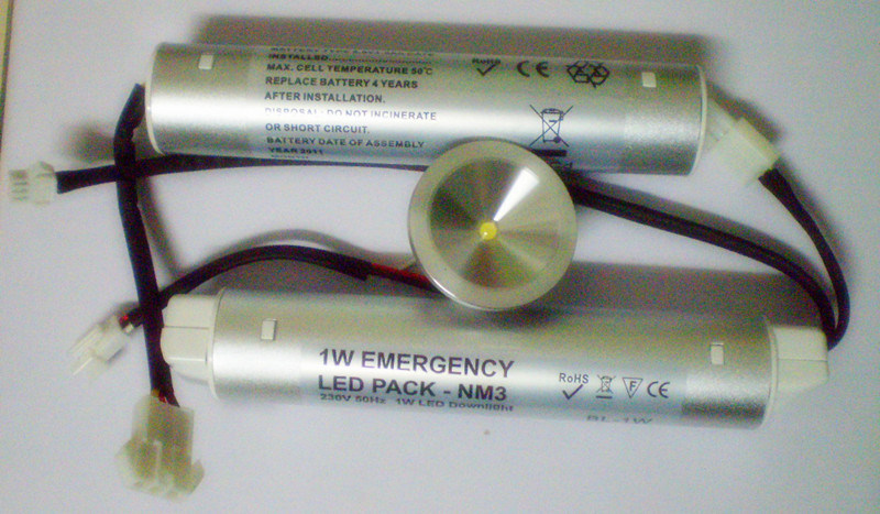 LED Emergency Down Light