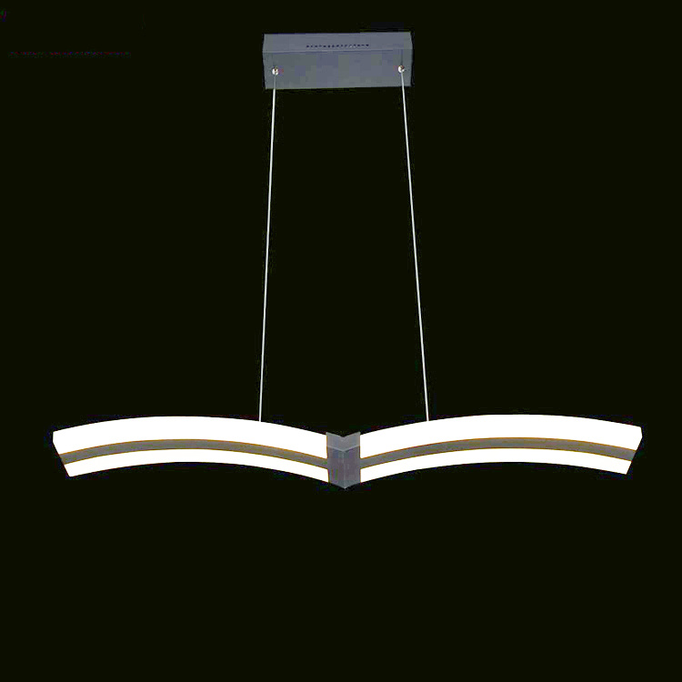 Elegant Design LED Down Light Ceiling Light