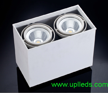 Gimbal Surface Mounted LED Down Lights 60W (UPL-GDL-2x30W-SM)
