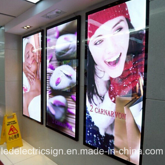 Acrylic Sheet LED Light Box for Beauty Shop Advertising Display