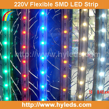 High Voltage Flexible SMD LED Strip Light (HY-HV3825-50-WW)