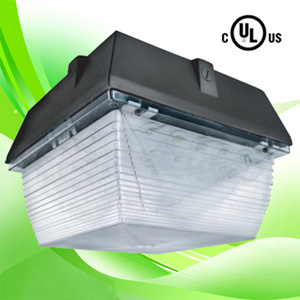 LED Canopy Light Ceiling Fixtures With Mean Well UL Driver