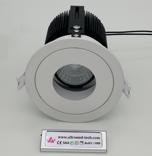 Economical 12W LED Down Light with CE Dimmable Driver (DLC090-004)