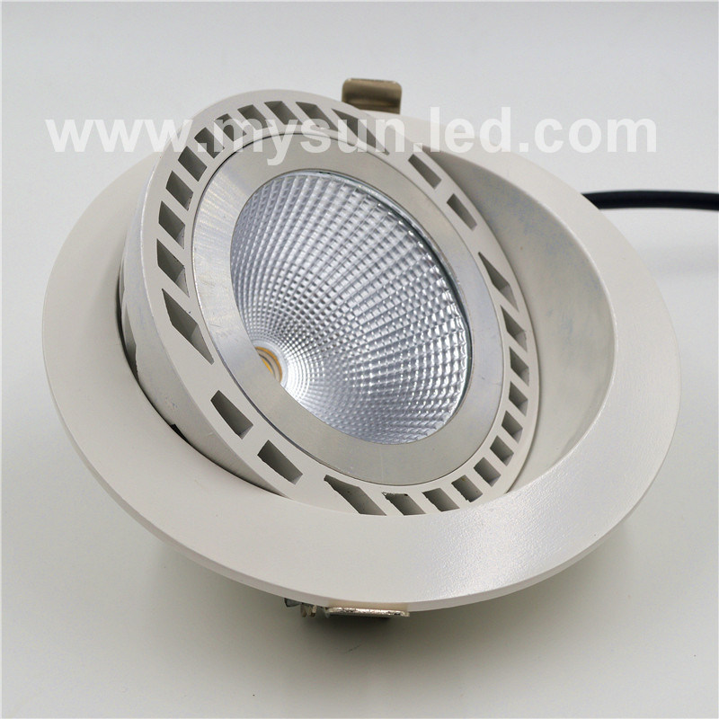 Hot Sell New Model LED Down Light for Chain Shop