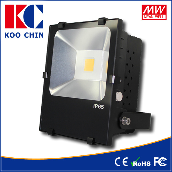 100lm/W, 50W IP65 LED Flood Light/LED Light for Outdoor Light