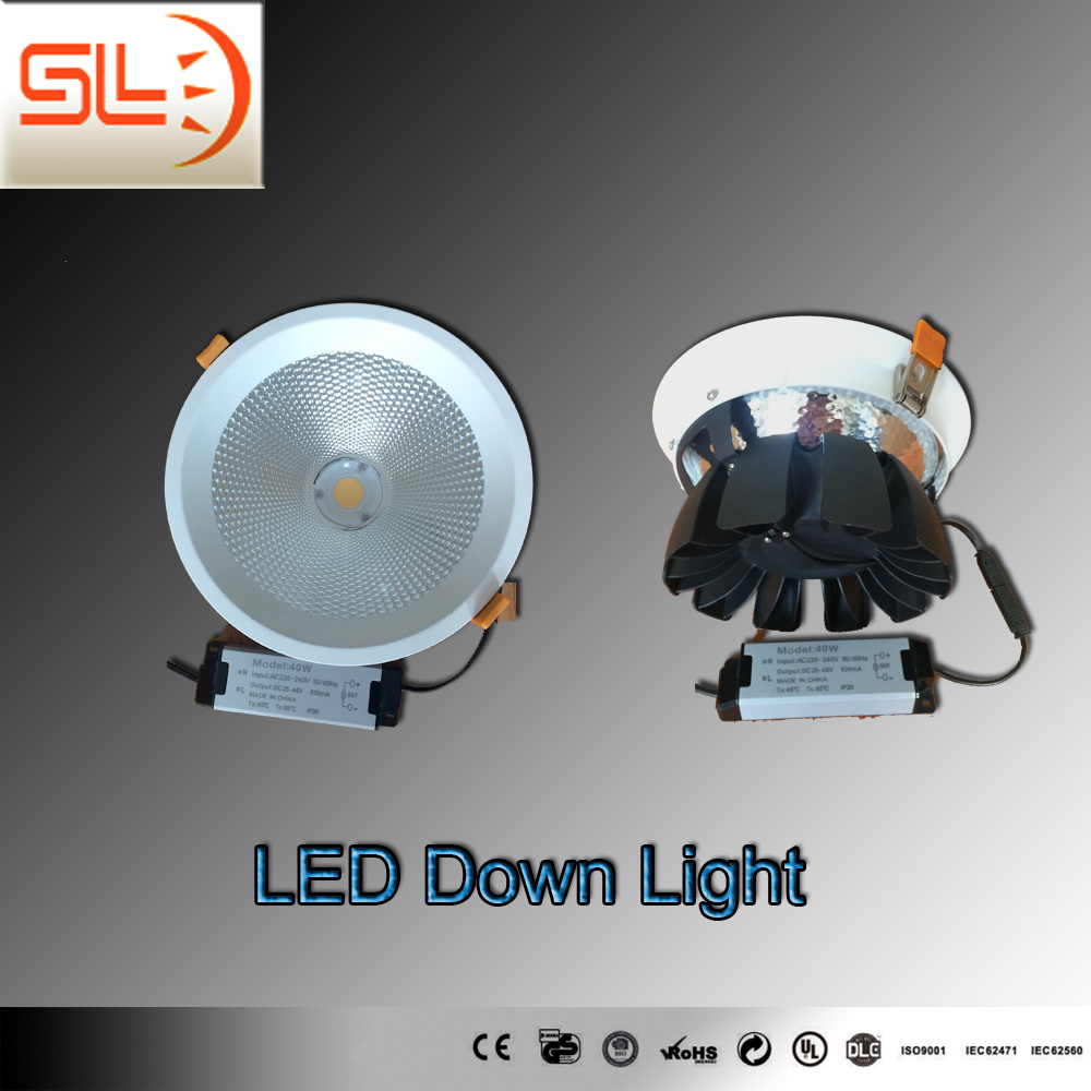 Good Heat Sink 12W LED Down Light with CE EMC