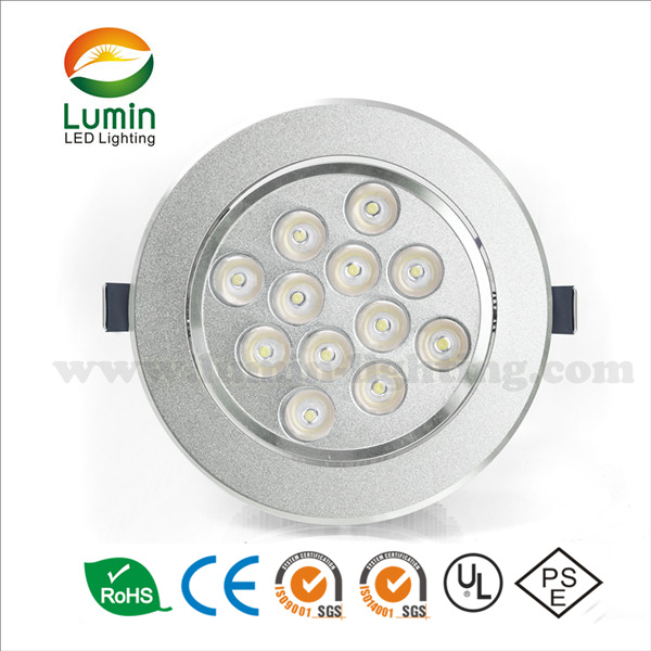 Indoor LED 12*1W Adjustable LED Ceiling Light